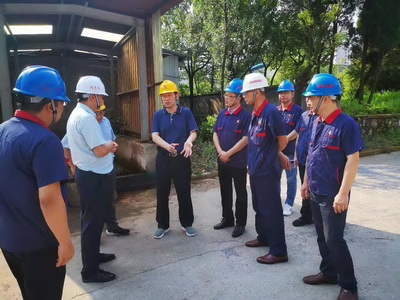 集團公司副總經理到公司督察環(huán)保管理工作 集團公司副總經理到公司督察環(huán)保管理工作